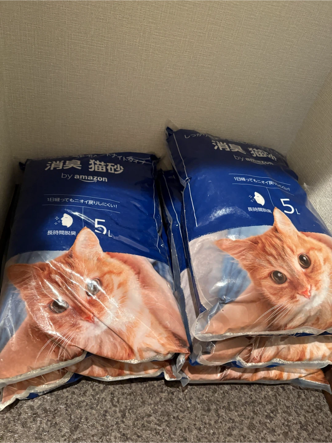 Amazon 消臭猫砂 5L 鉱物系 ベントナイトの写真7枚目