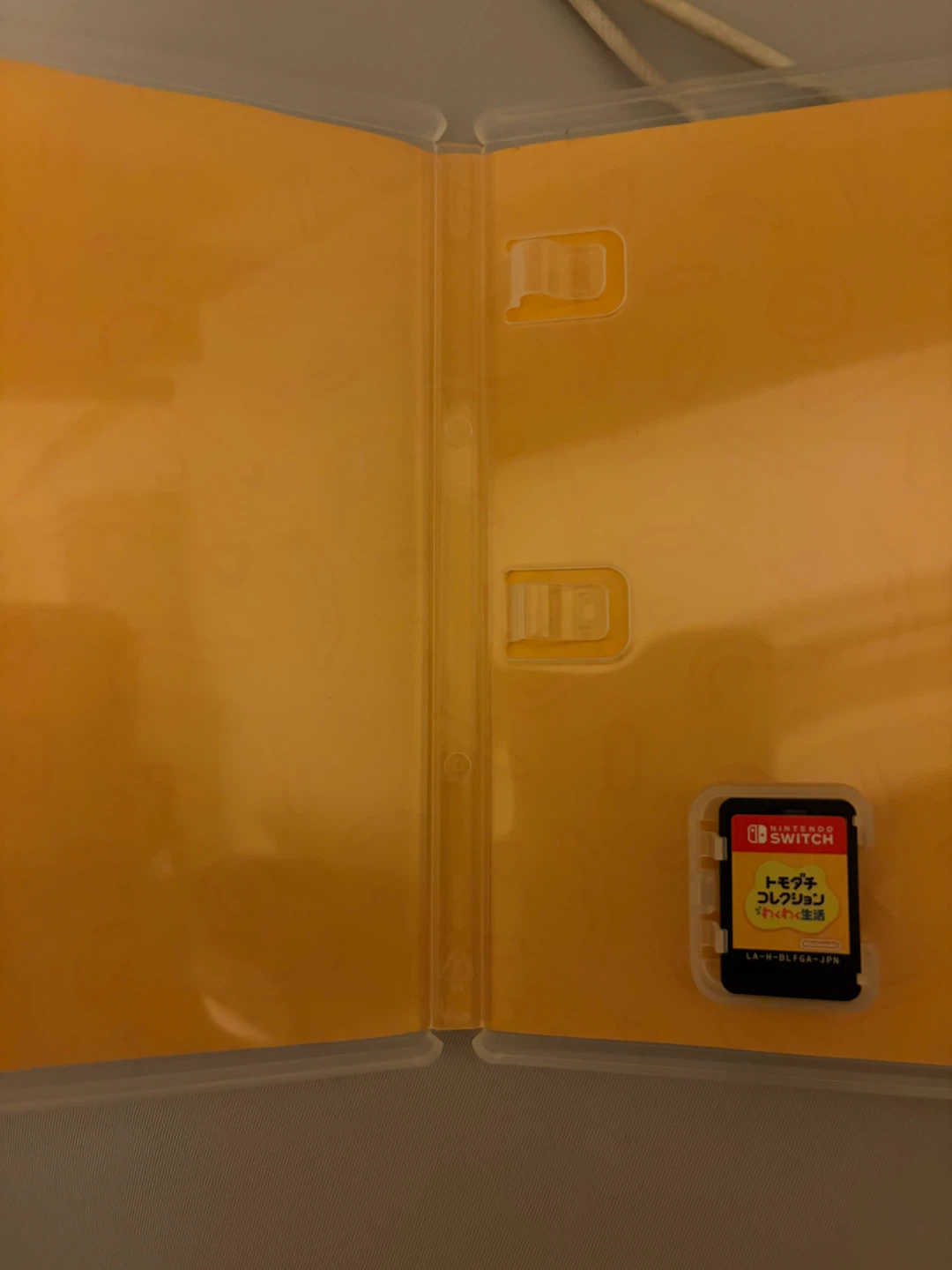 ニンテンドースイッチ トモダチコレクション わくわく生活の写真2枚目