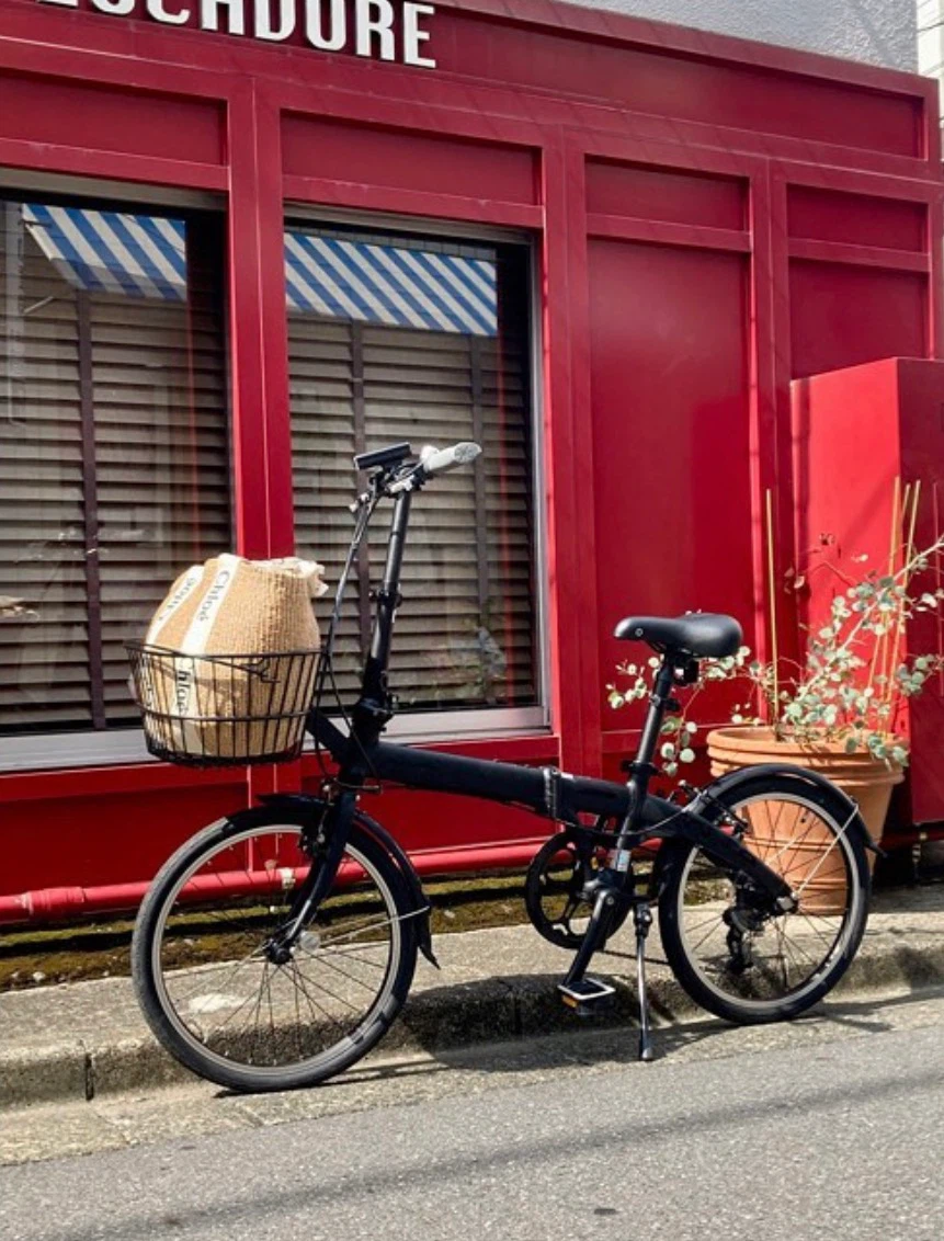 ダホン 折りたたみ自転車 ルート マットブラック