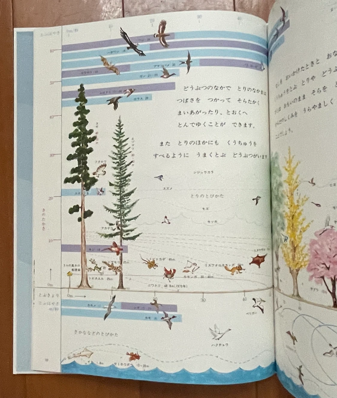 加古里子 科学絵本 宇宙・地球 2冊セットの写真3枚目