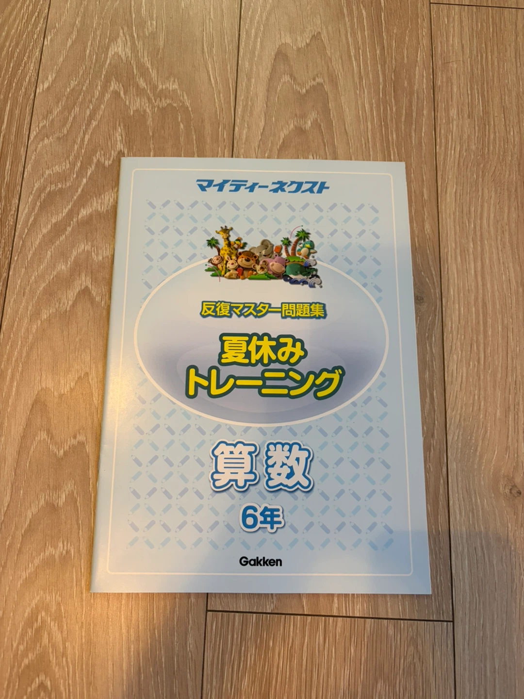 学研 マイティーネクスト 算数 5年・6年の写真3枚目