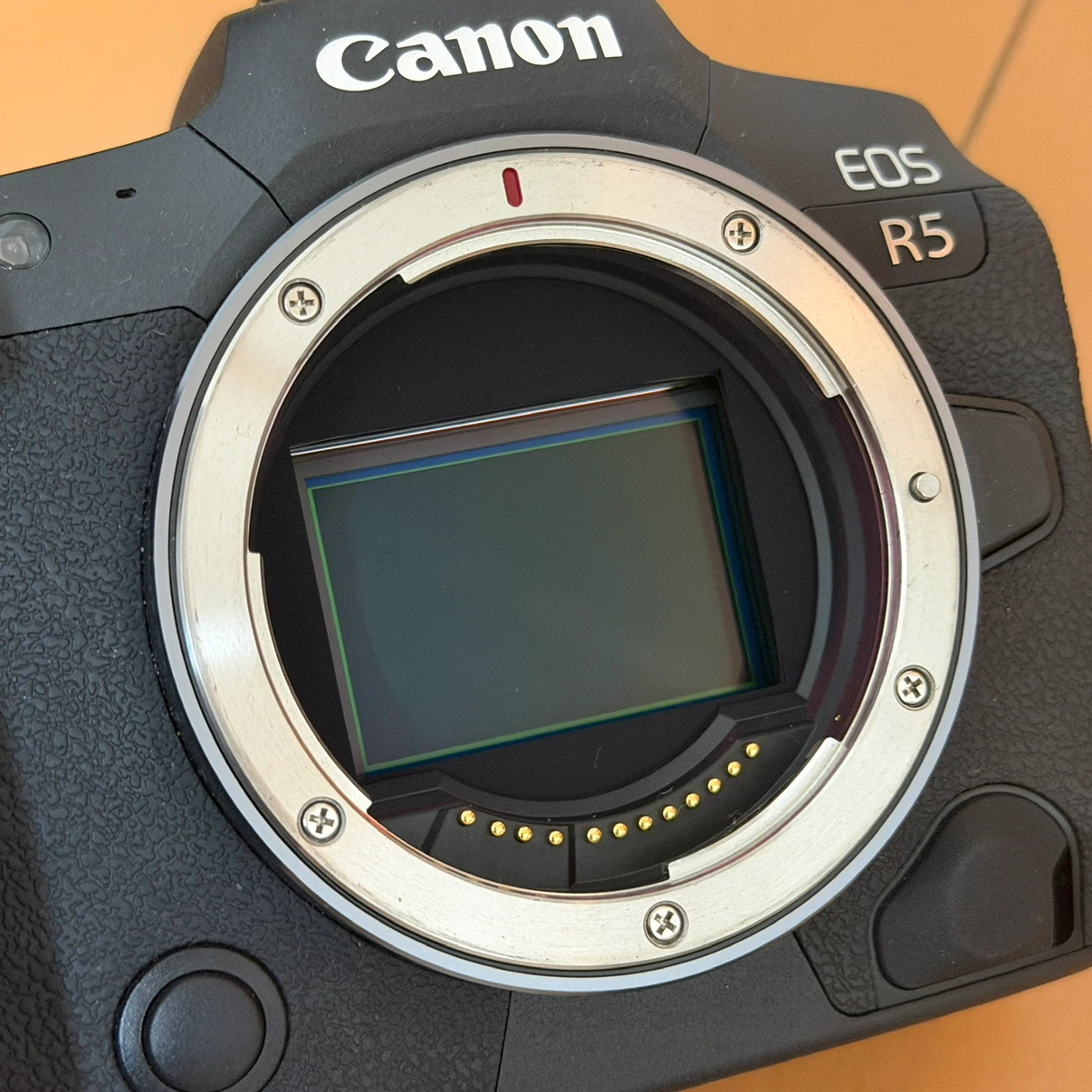 キヤノン EOS R5 ボディの写真4枚目