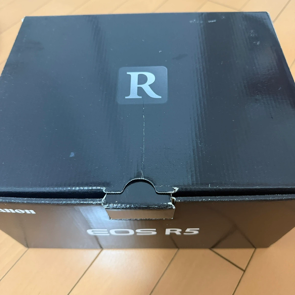 キヤノン EOS R5 ボディの写真7枚目