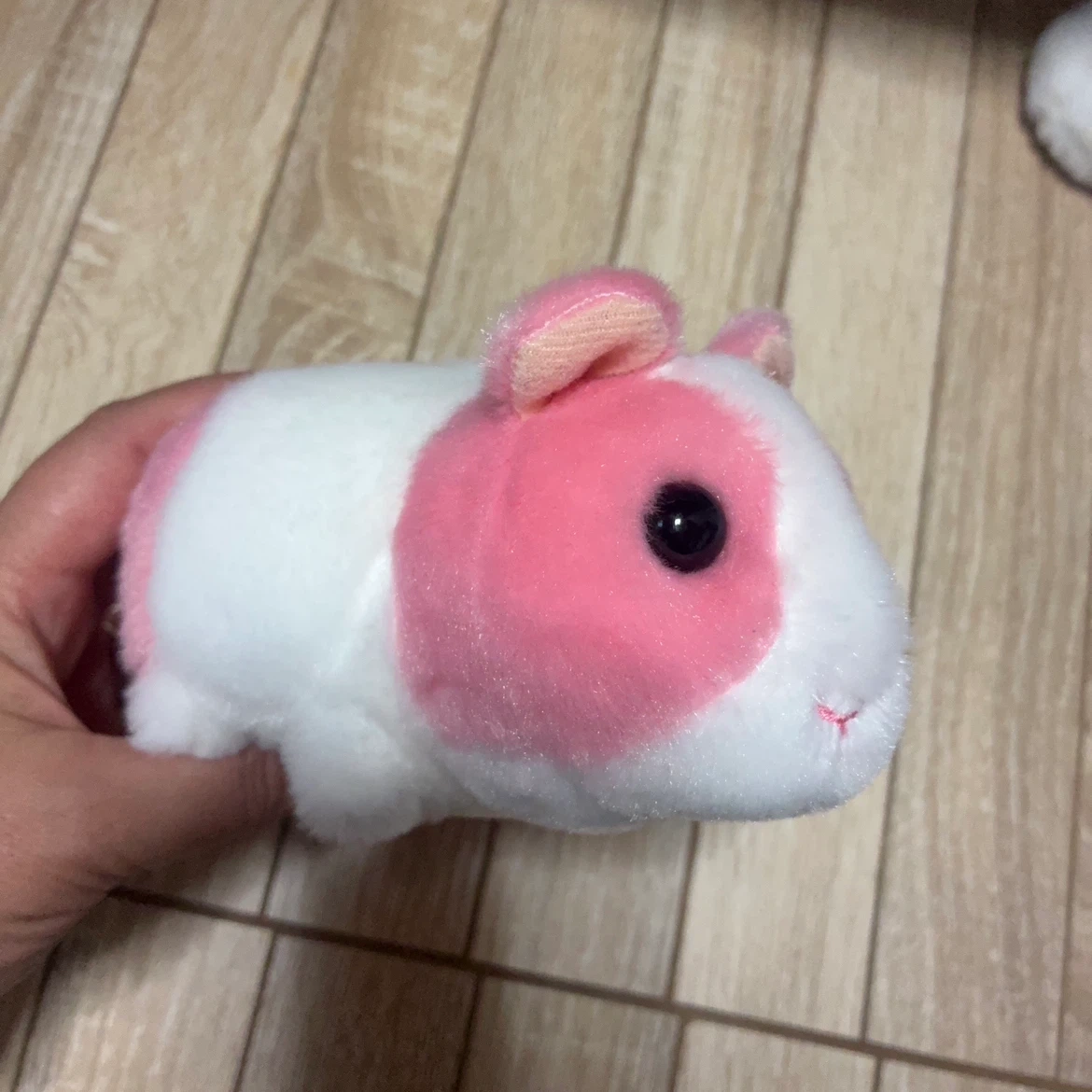 モルモット ぬいぐるみ ピンク・白