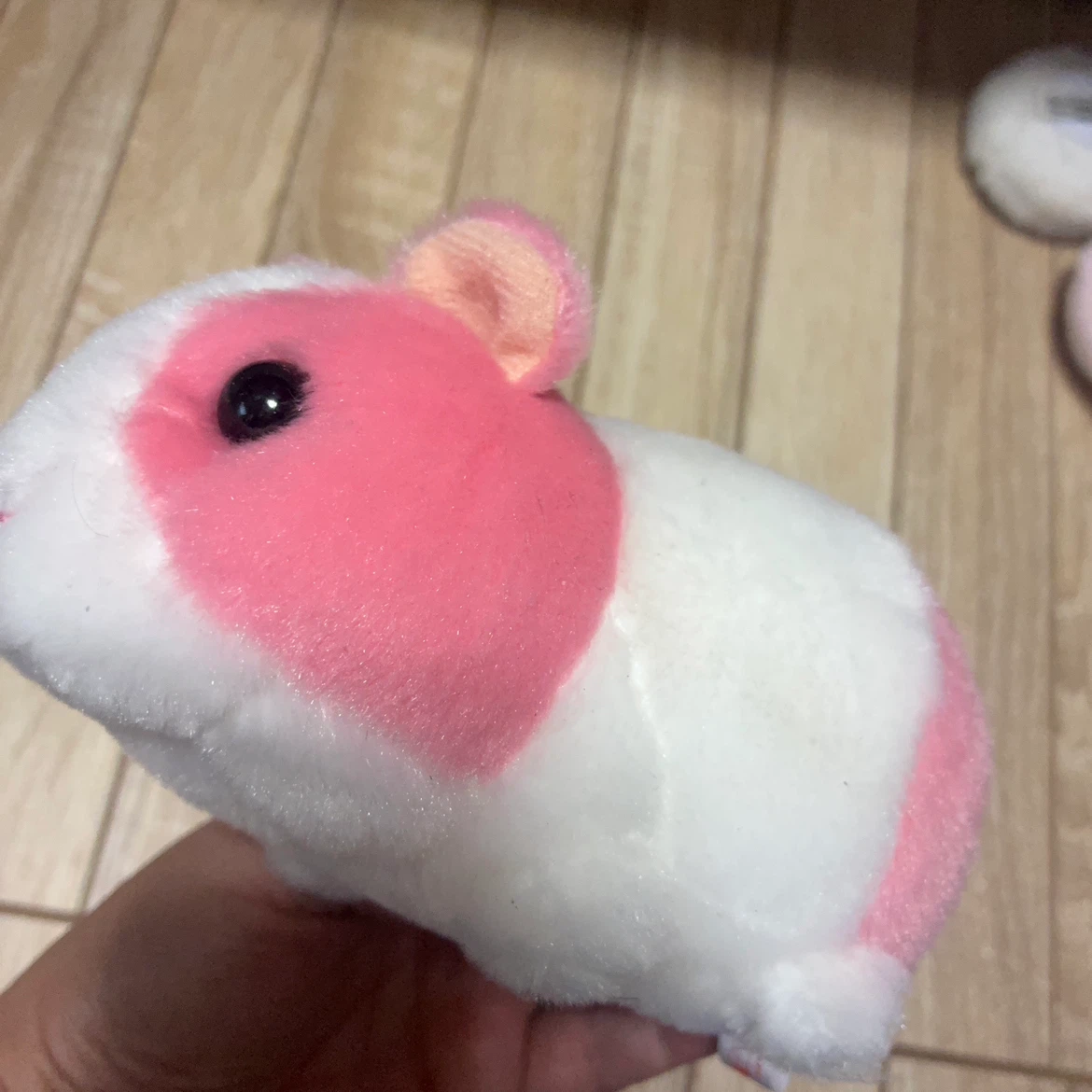 モルモット ぬいぐるみ ピンク・白の写真3枚目