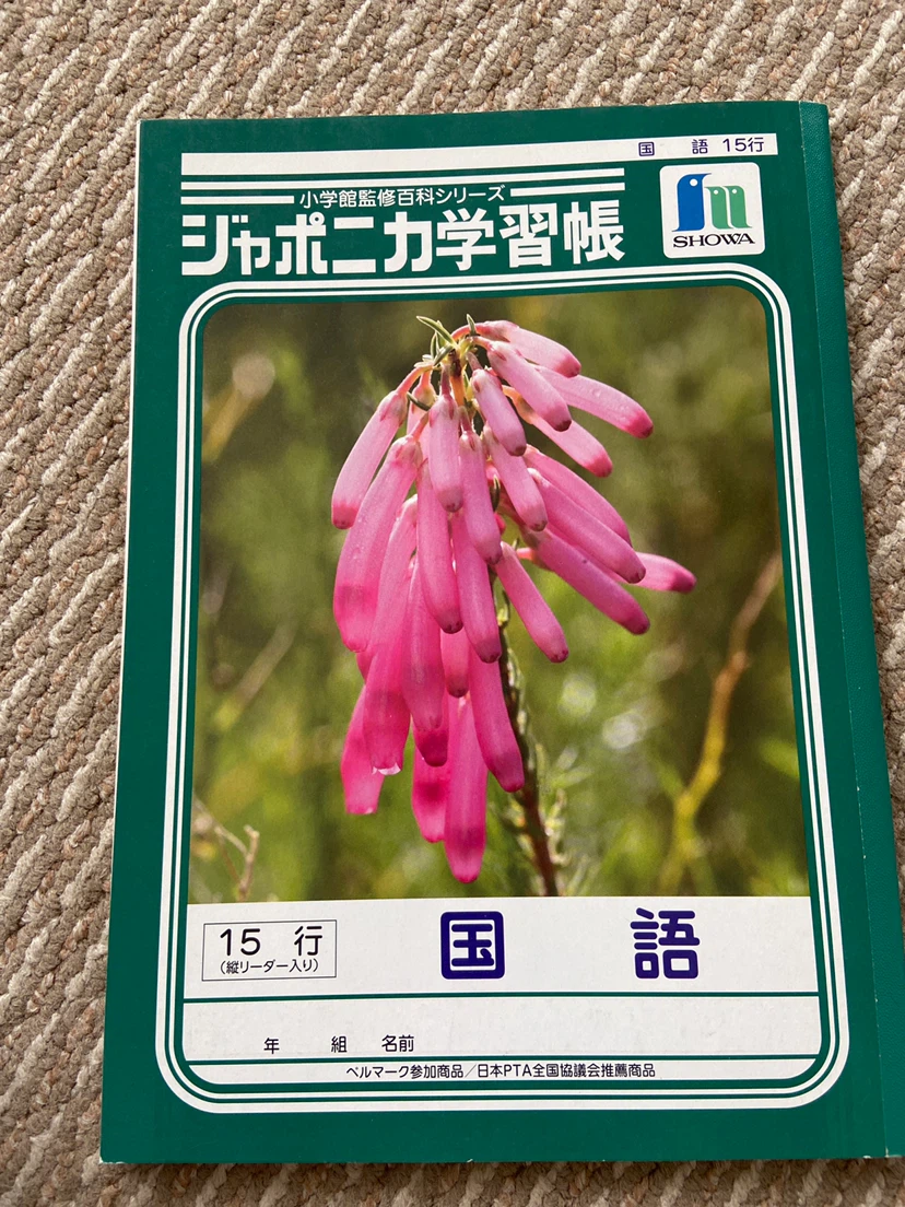 各種ノート 学習帳 原稿用紙 下敷き(赤・黒)の写真3枚目