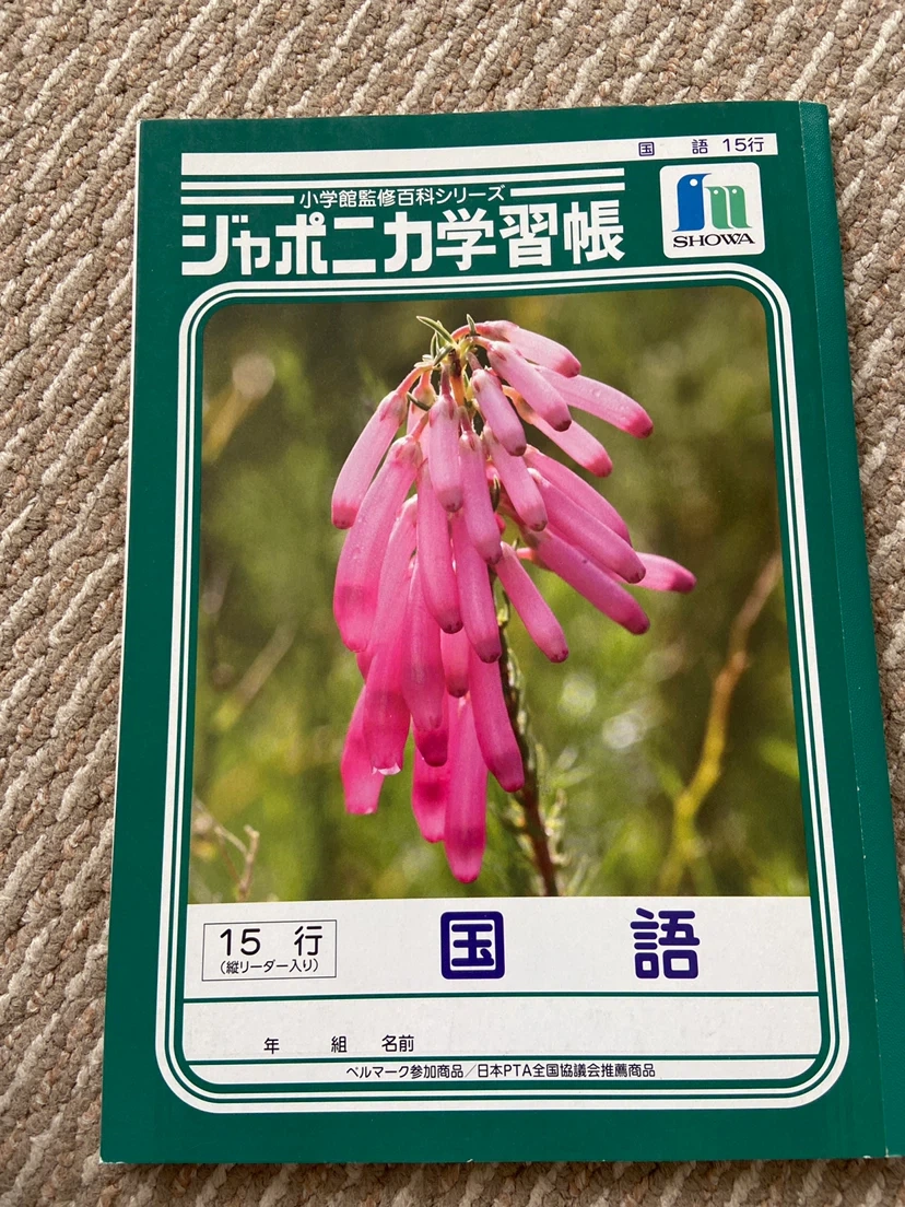 各種ノート 学習帳 原稿用紙 下敷き(赤・黒)の写真3枚目