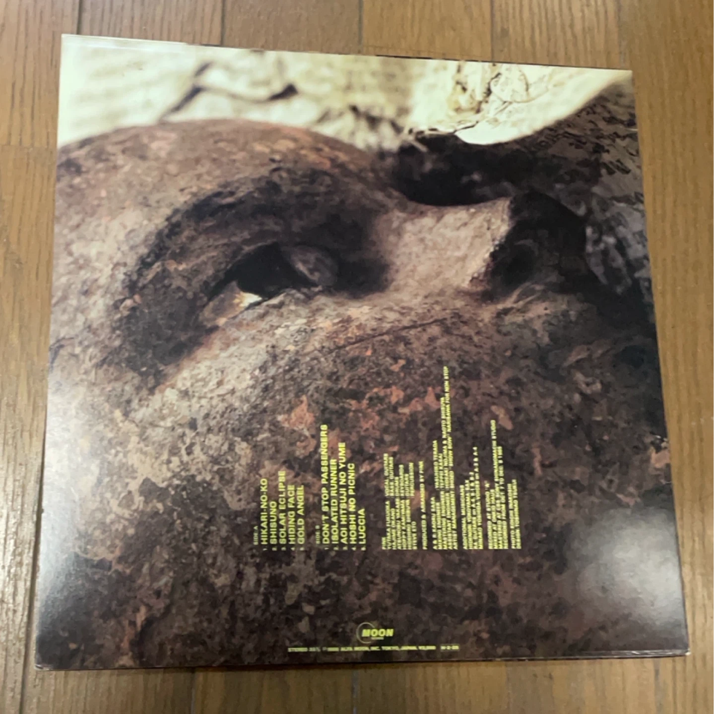 PINK レコード2枚 サンプル盤の写真7枚目