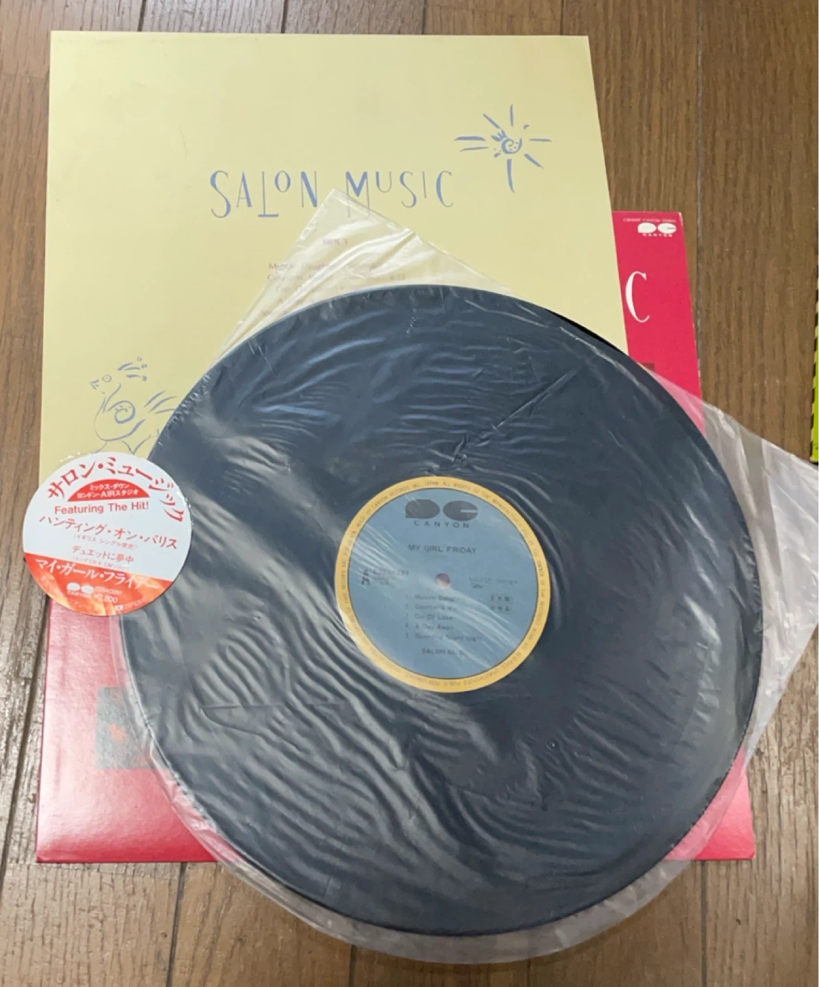 サロンミュージック 中古レコード2枚の写真2枚目