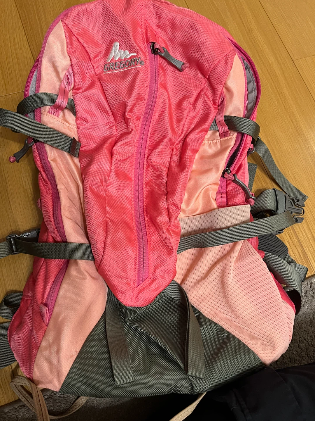グレゴリー JAY 22 バックパック ピンクの写真3枚目