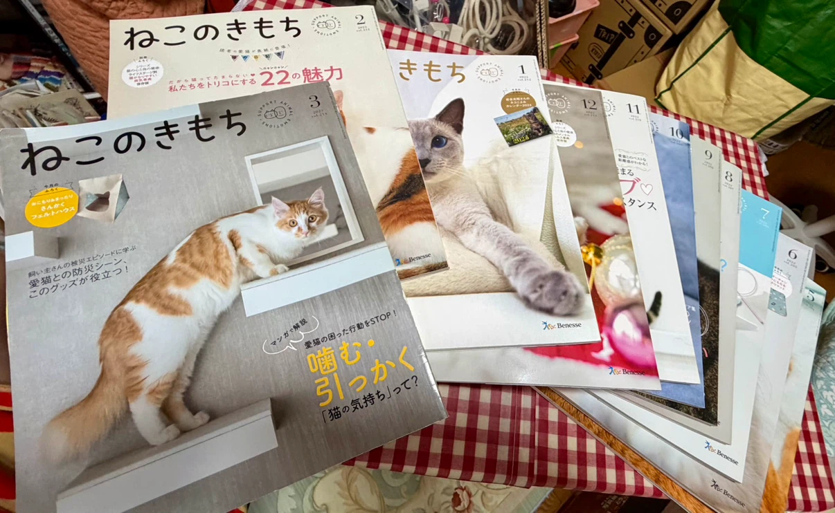 ねこのきもち 2022年〜2023年 11冊セット