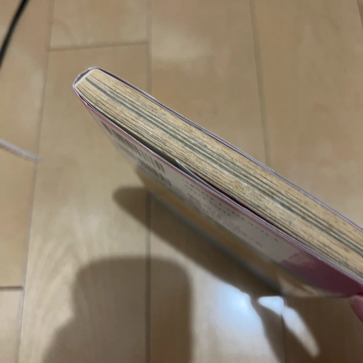 ストロボ 1巻 月ノ輪航介の写真3枚目