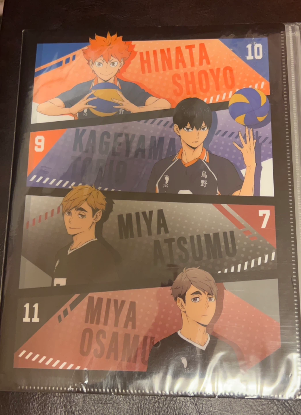 ハイキュー!! ファスナー付6ポケットクリアファイル