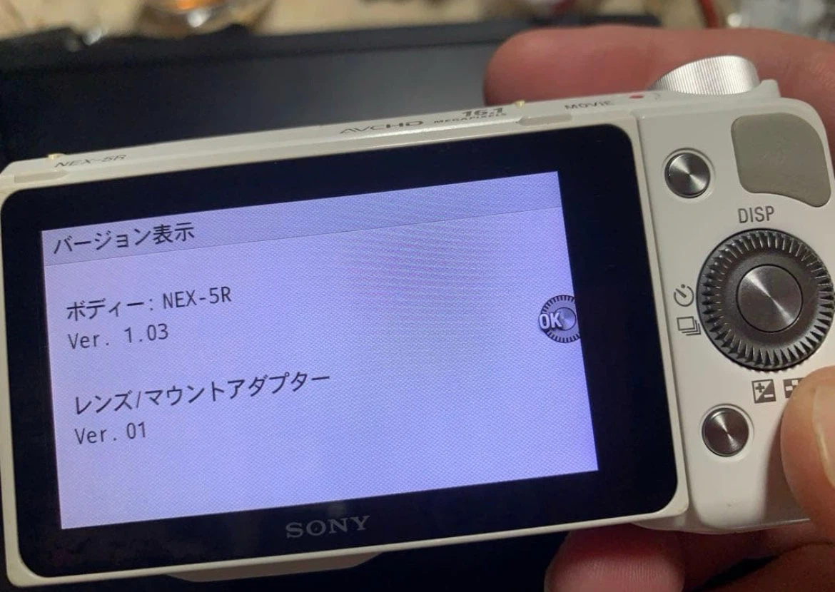 ソニー ミラーレス一眼 NEX-5R ホワイトの写真6枚目