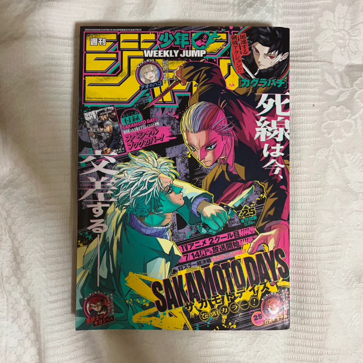 週刊少年ジャンプ 2025年25号
