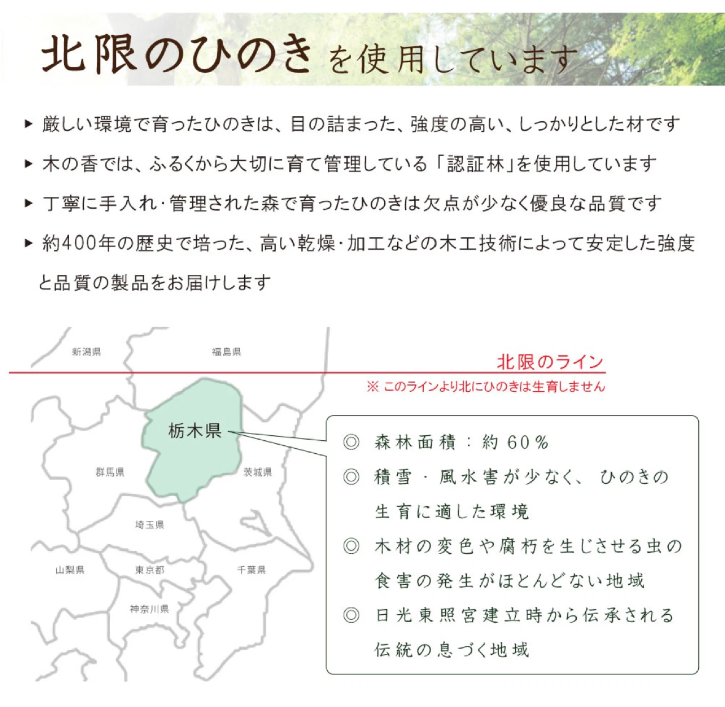 ひのきすのこベッド 折りたたみ　定価:15,000円の写真9枚目