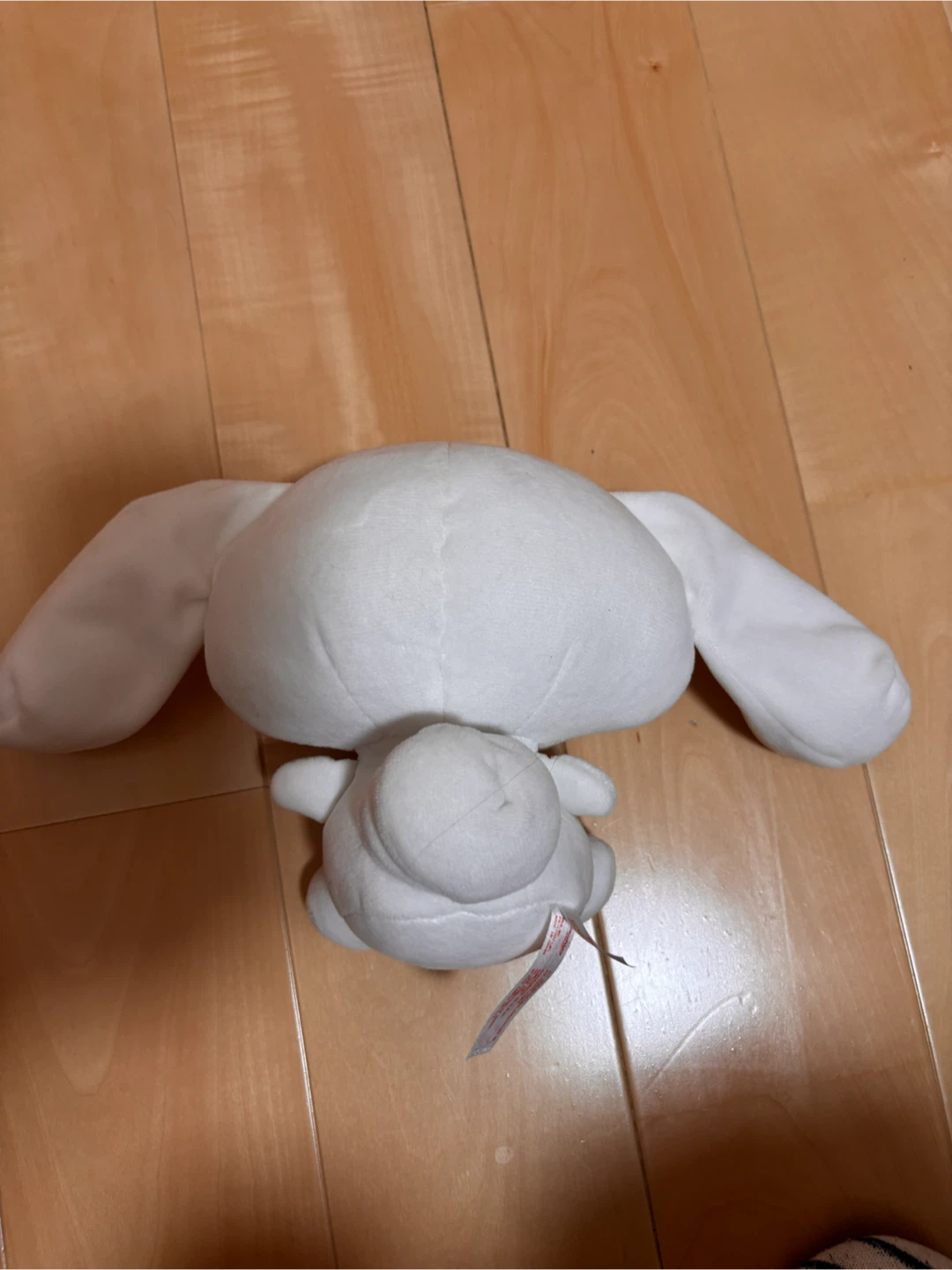 シナモロールの写真2枚目