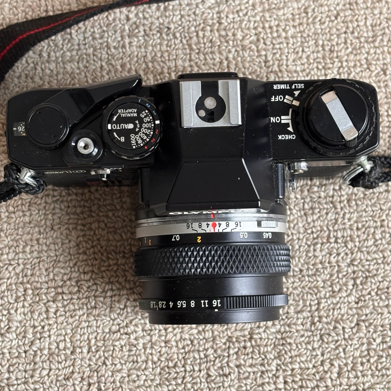 OLYMPUS OM10 フィルム一眼レフカメラ + SIGMA ZOOM 100-200mmの写真6枚目