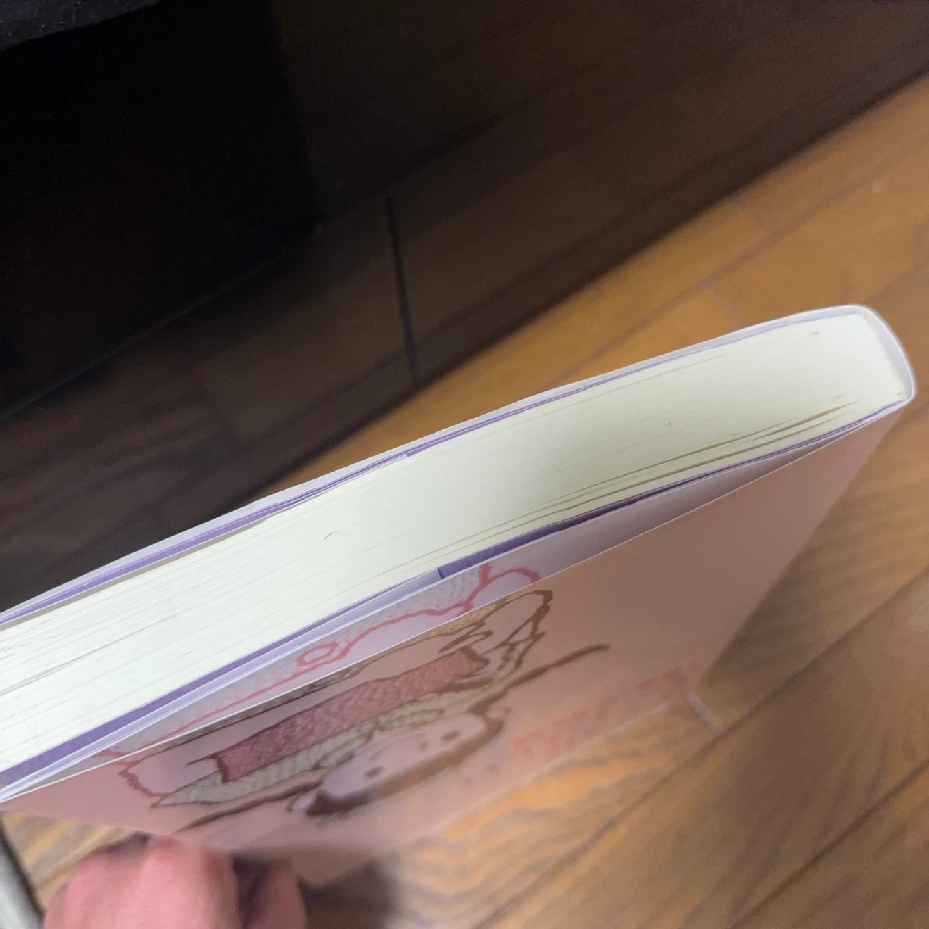 ナースに知ってほしい100の病気の写真4枚目