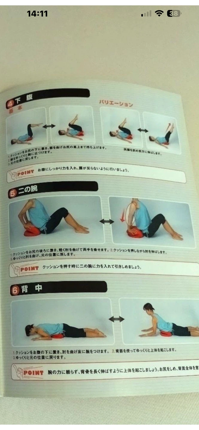 オアシス バウンドクッション レッドの写真7枚目