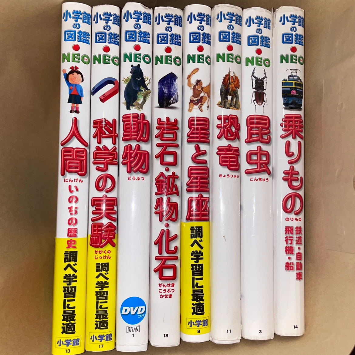 9月２３日まで小学館の図鑑NEO 8冊セット DVD付