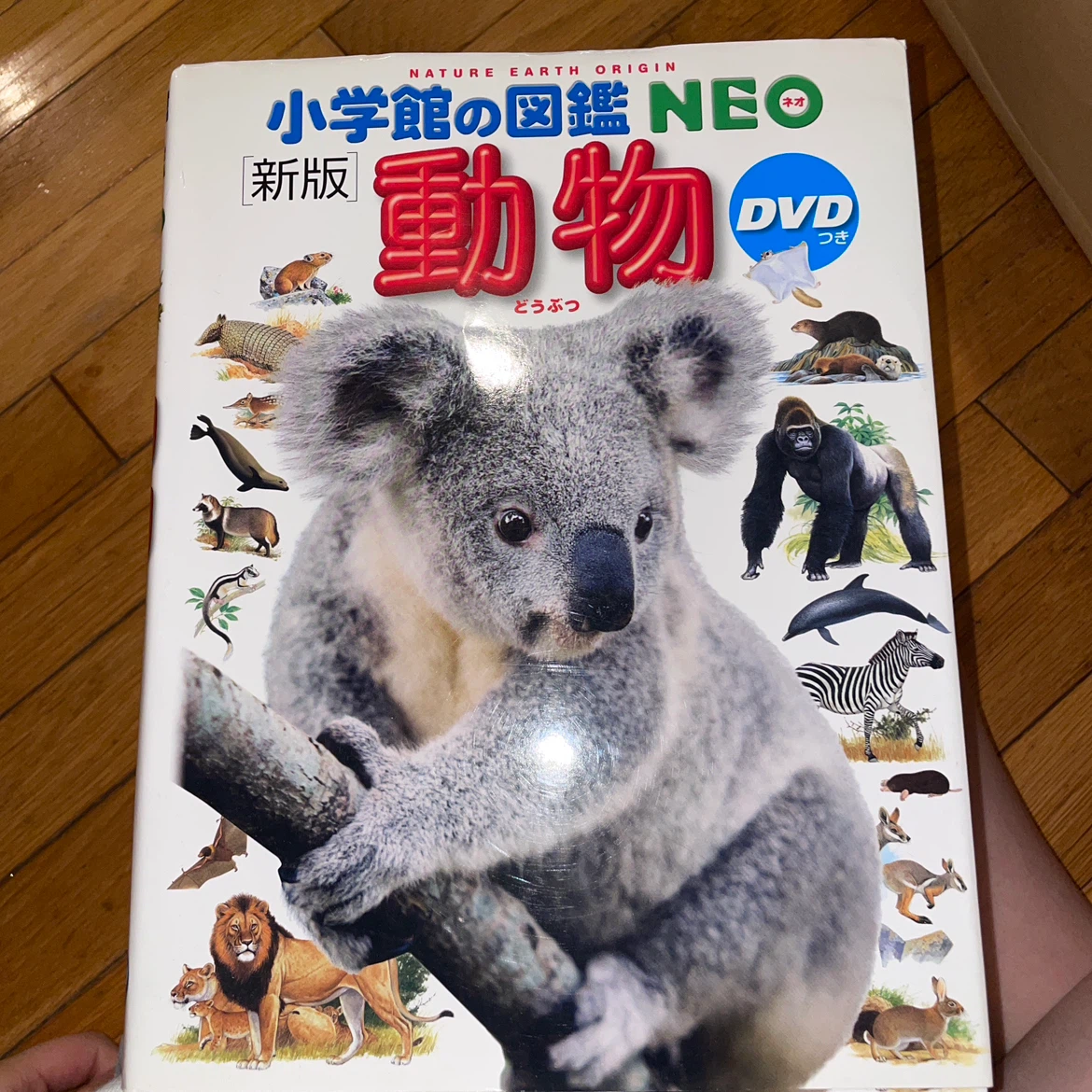 9月２３日まで小学館の図鑑NEO 8冊セット DVD付の写真4枚目