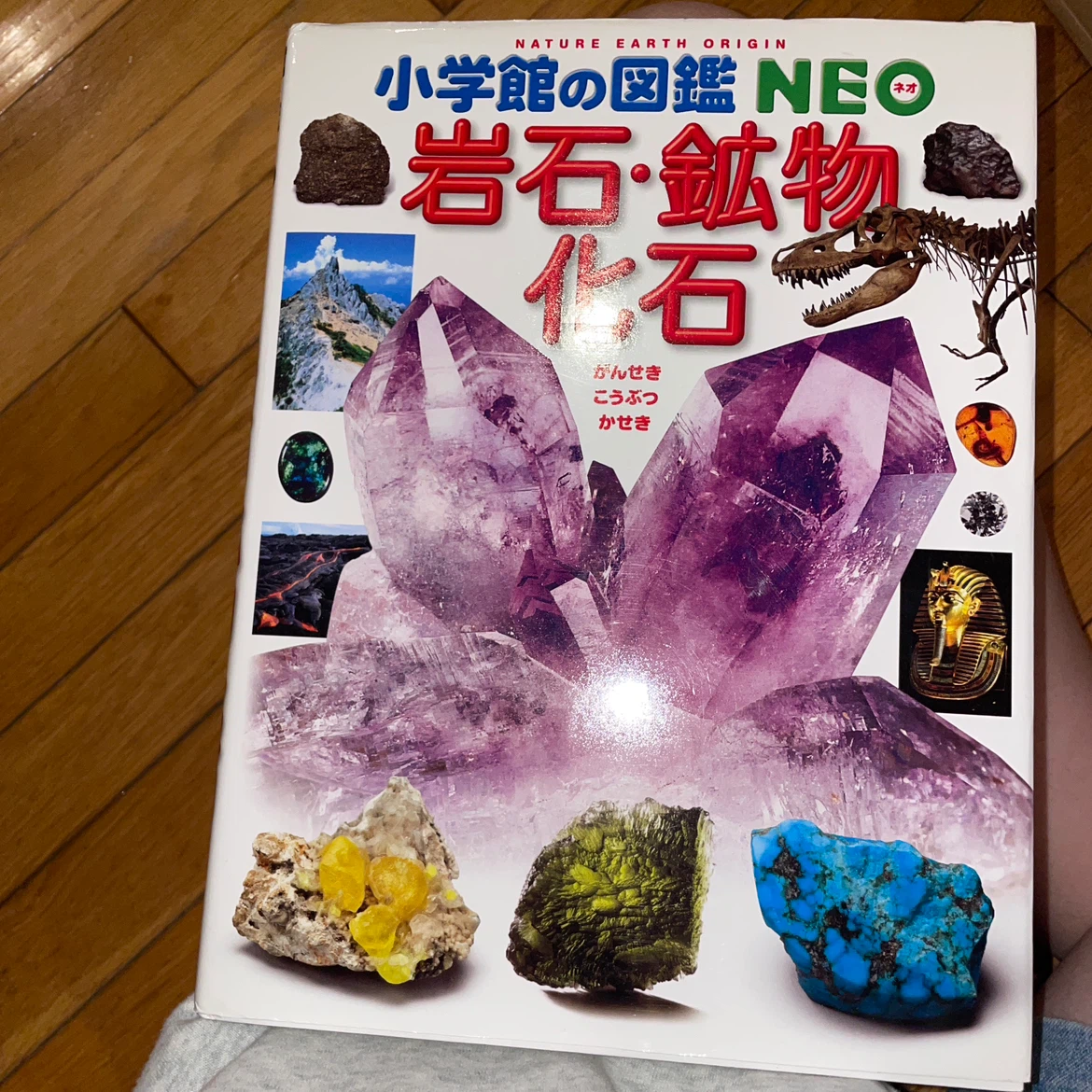 9月２３日まで小学館の図鑑NEO 8冊セット DVD付の写真5枚目