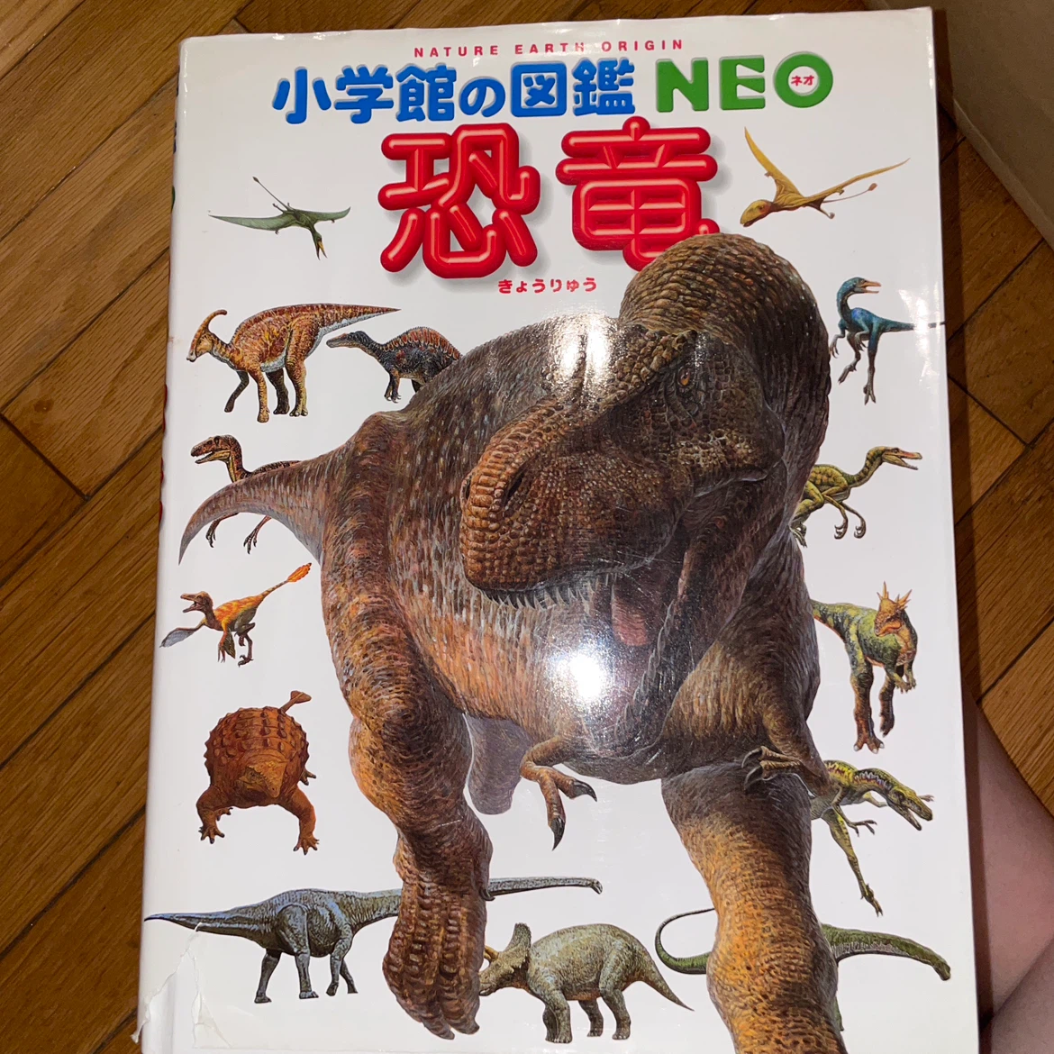 9月２３日まで小学館の図鑑NEO 8冊セット DVD付の写真7枚目