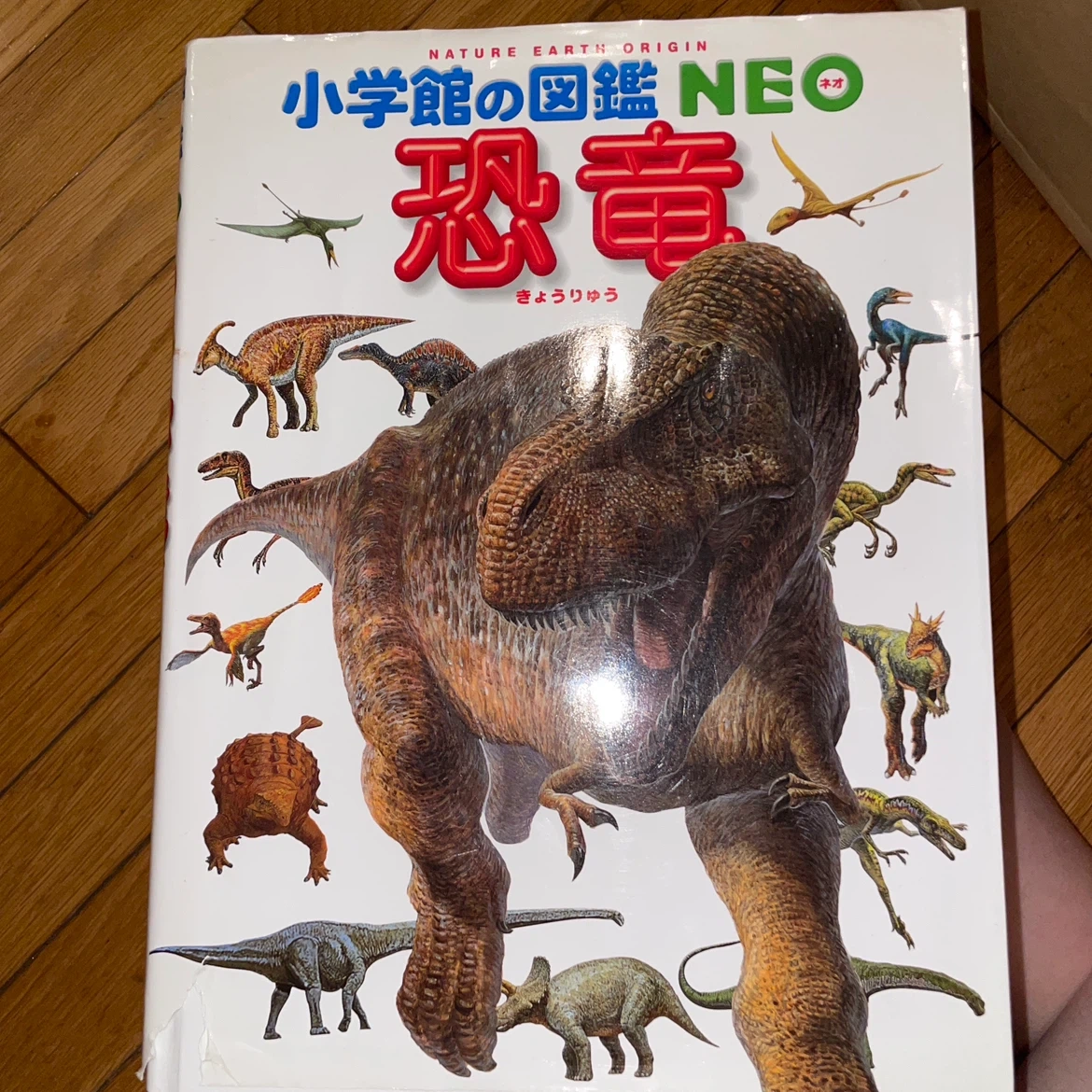 9月23日まで小学館の図鑑NEO 8冊セット DVD付の写真7枚目