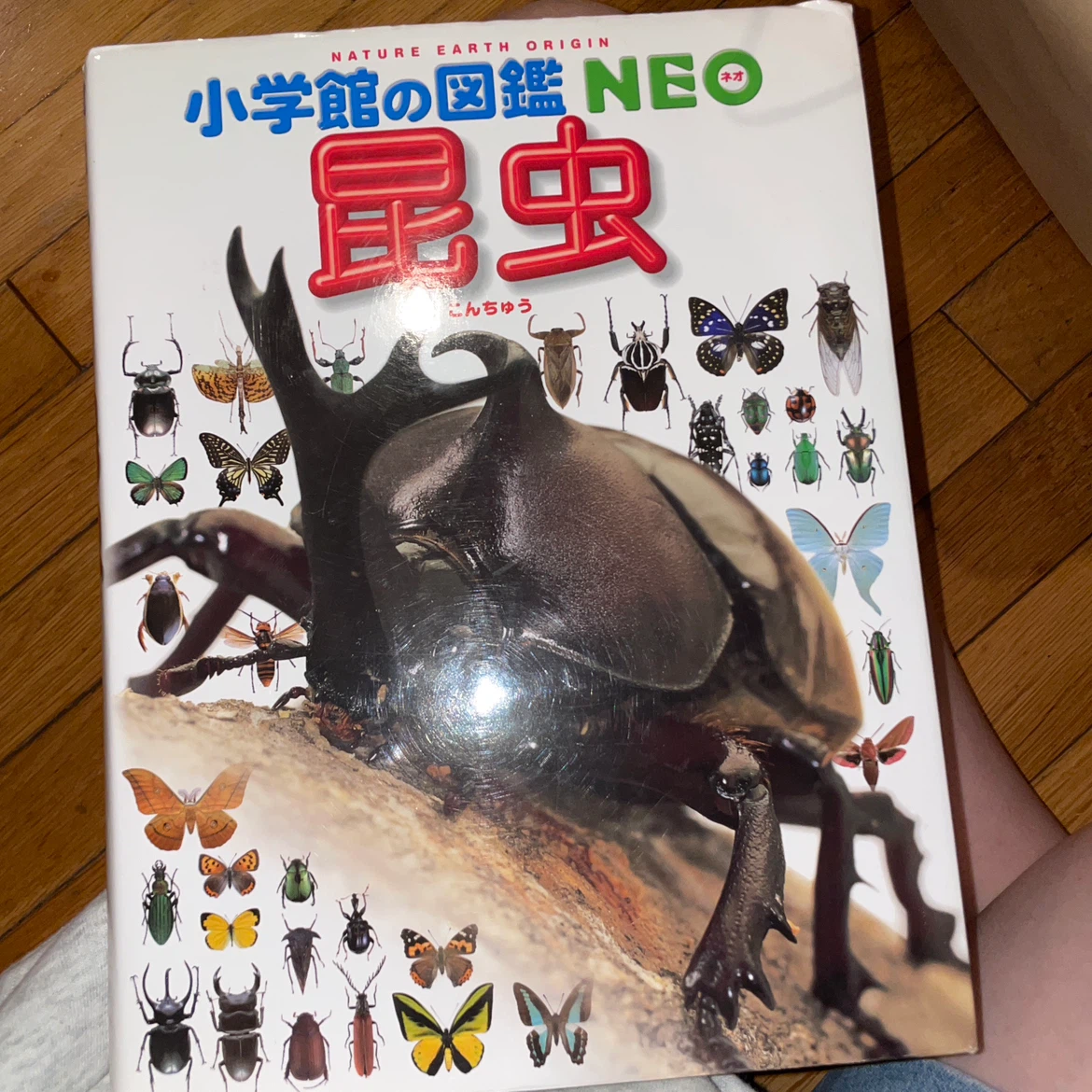 9月２３日まで小学館の図鑑NEO 8冊セット DVD付の写真9枚目