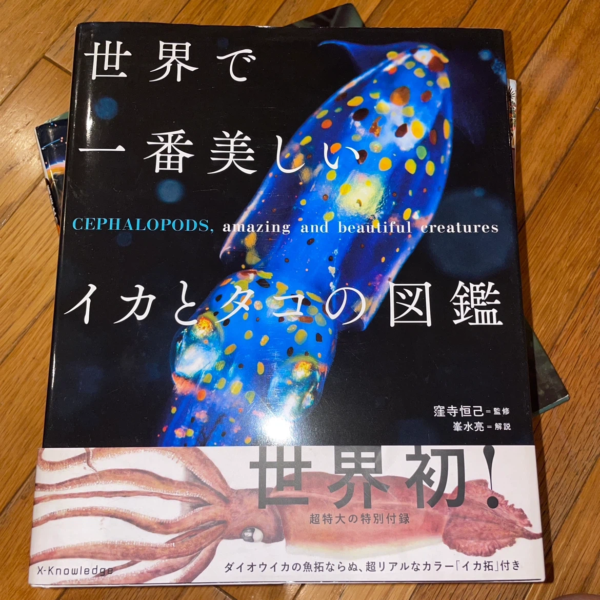 図鑑・学習本 7冊まとめ売りの写真6枚目