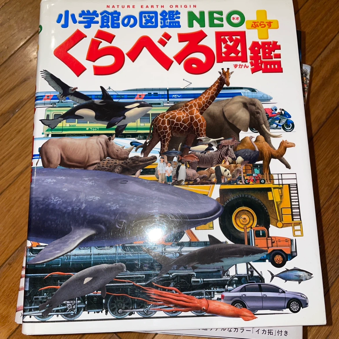 図鑑・学習本 7冊まとめ売りの写真7枚目