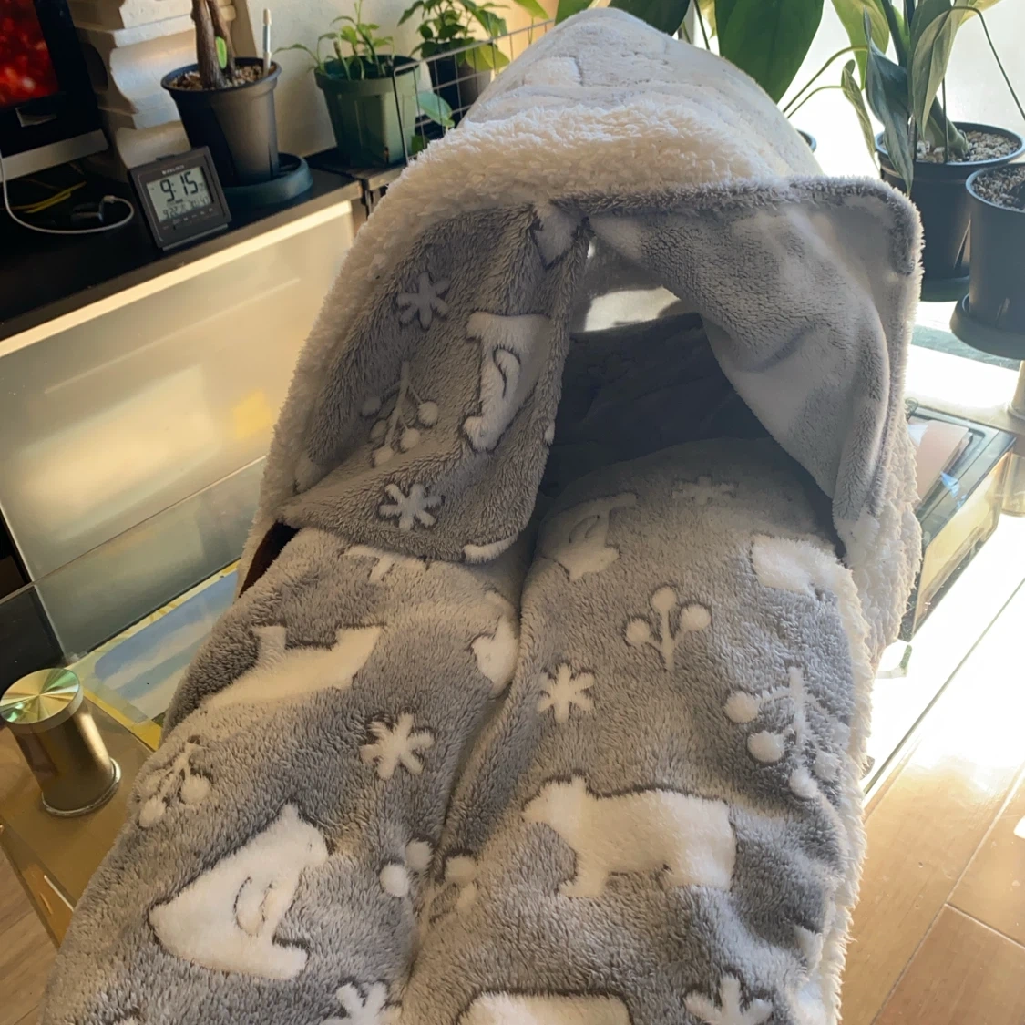 ペット用キャリーバッグと防寒マット、給水器のセットの写真4枚目