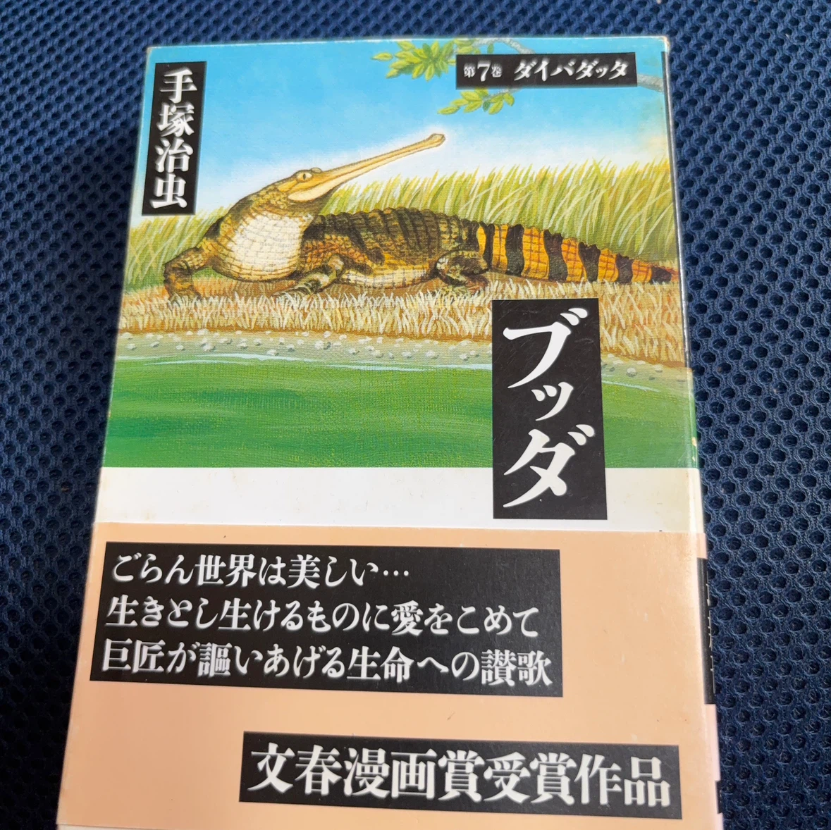 手塚治虫 ブッダ 潮ビジュアル文庫 5冊セットの写真5枚目