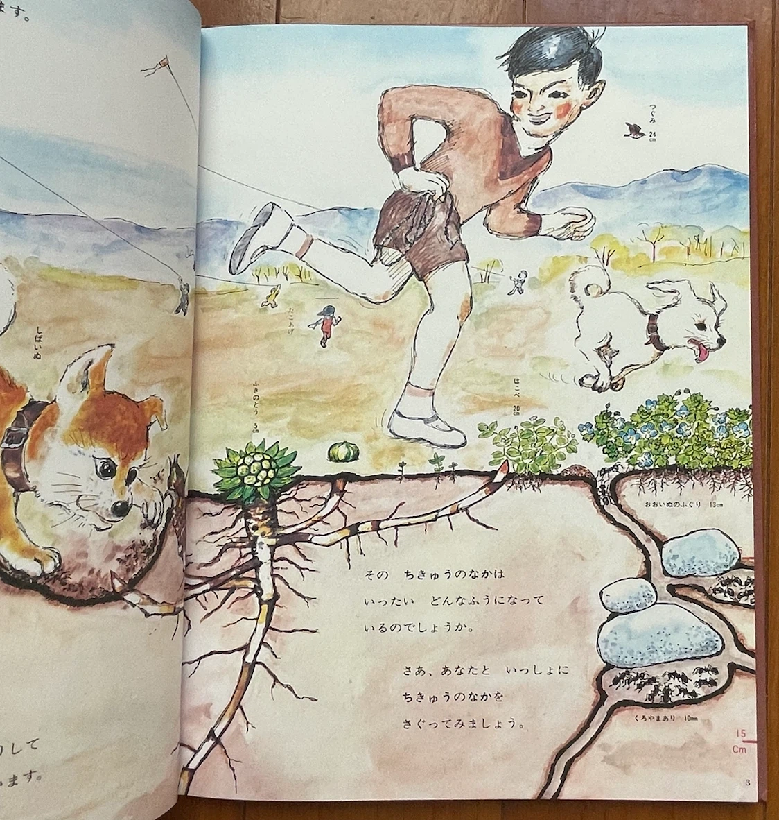かこさとし かがくのほん 3冊セット 宇宙 地球 海の写真5枚目