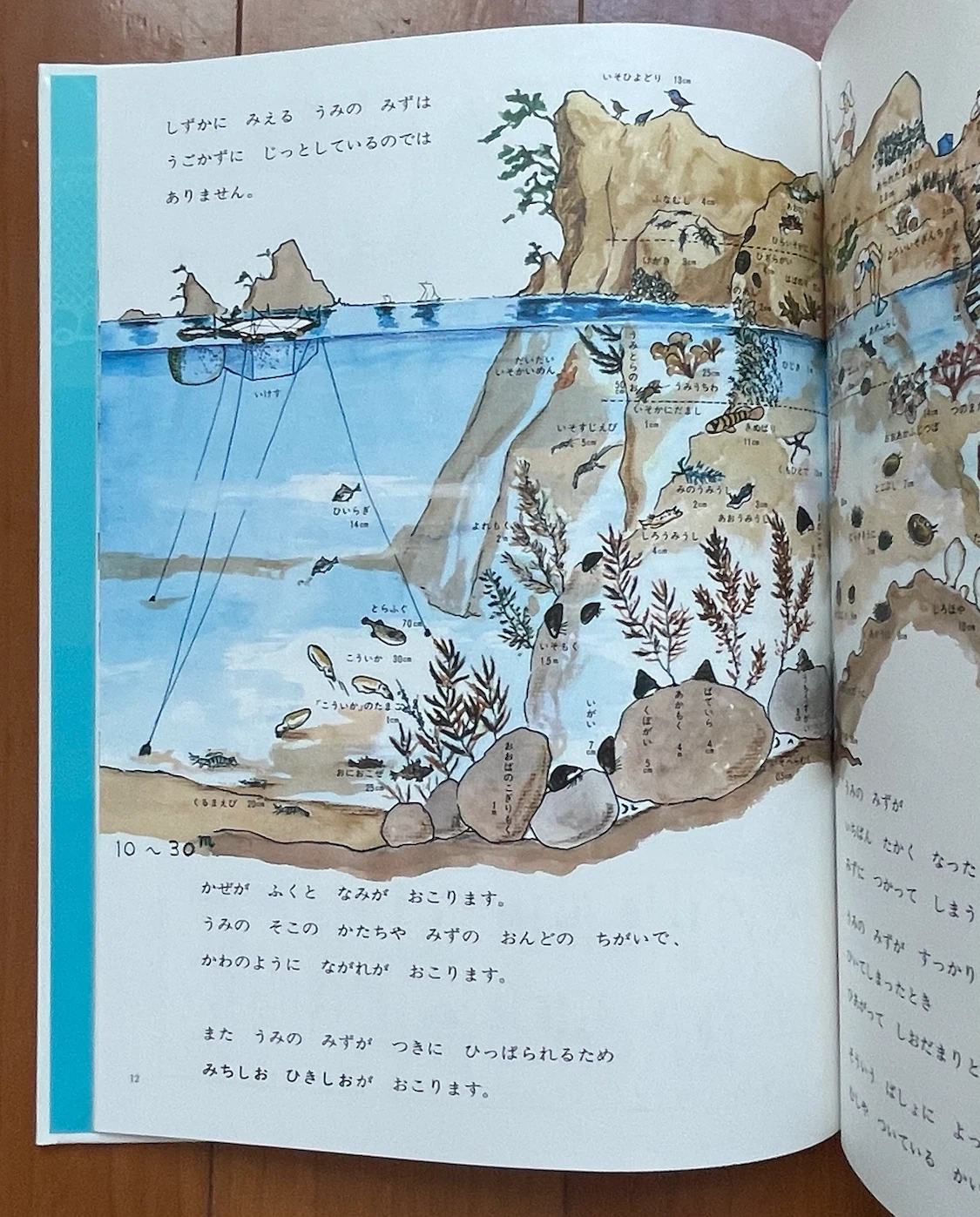 かこさとし かがくのほん 3冊セット 宇宙 地球 海の写真7枚目