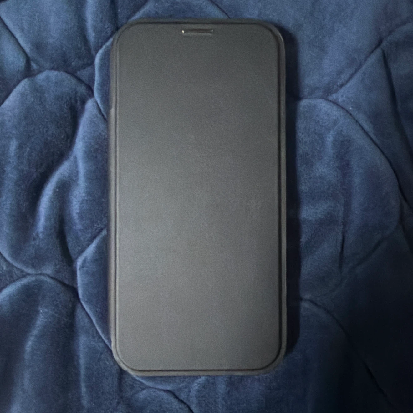 iPhone 17 Pro Maxの写真5枚目