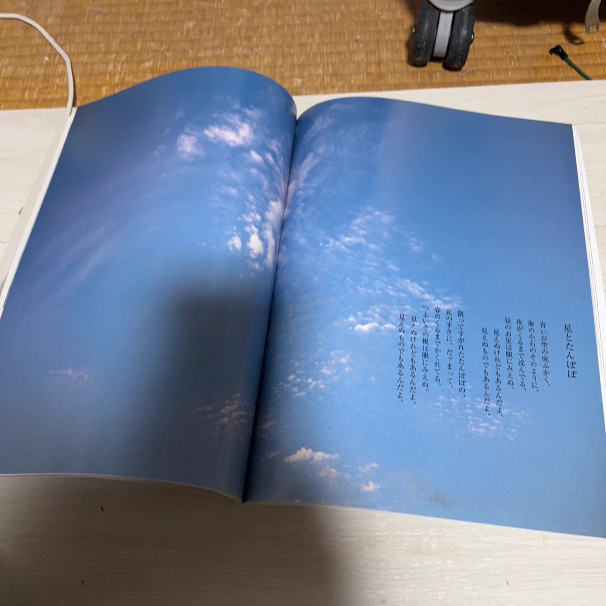 別冊太陽 金子みすゞ 生誕100年記念の写真4枚目