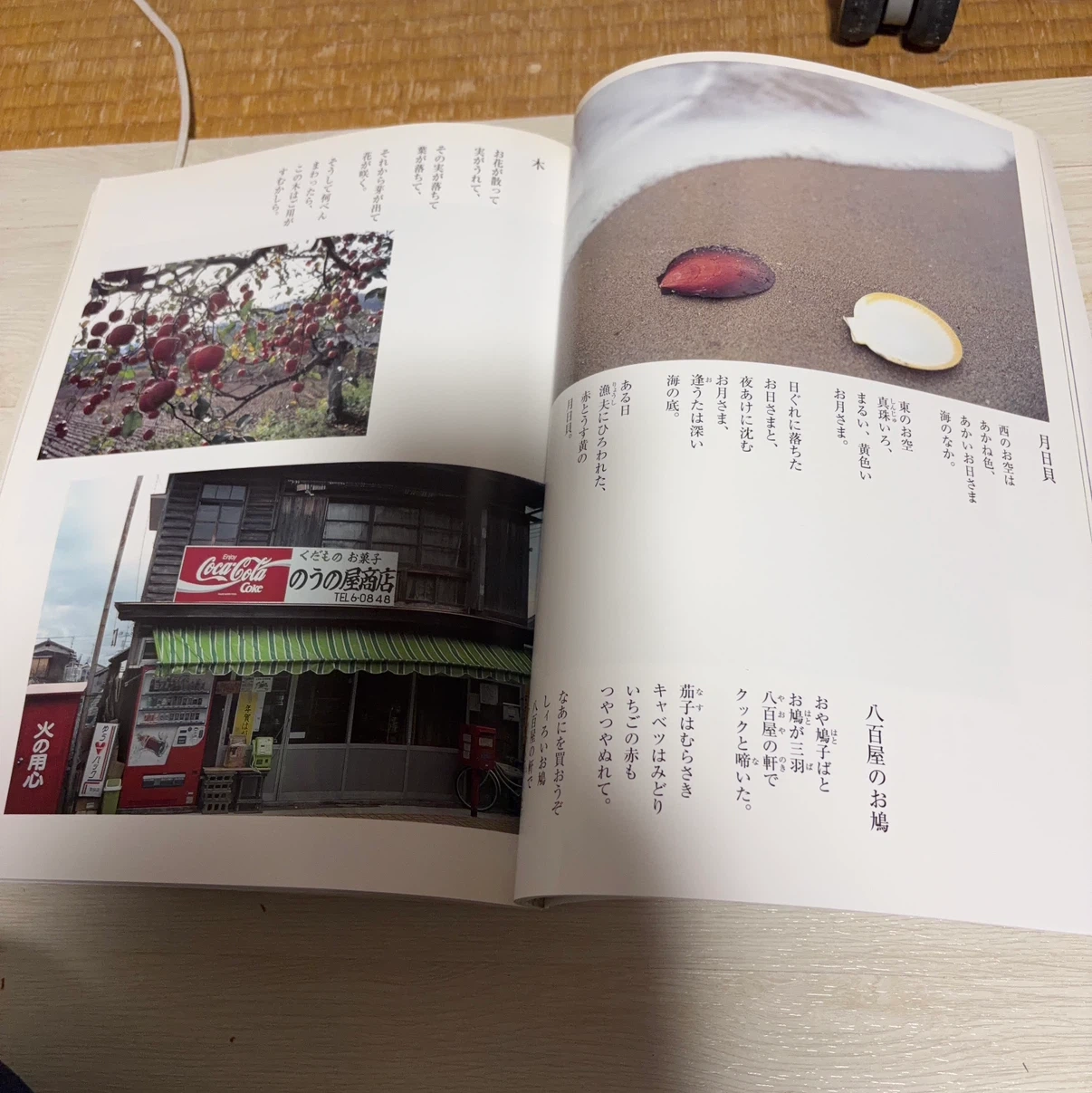 別冊太陽 金子みすゞ 生誕100年記念の写真5枚目