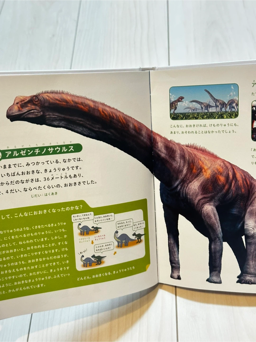 じぶんでよめる きょうりゅうずかんの写真4枚目