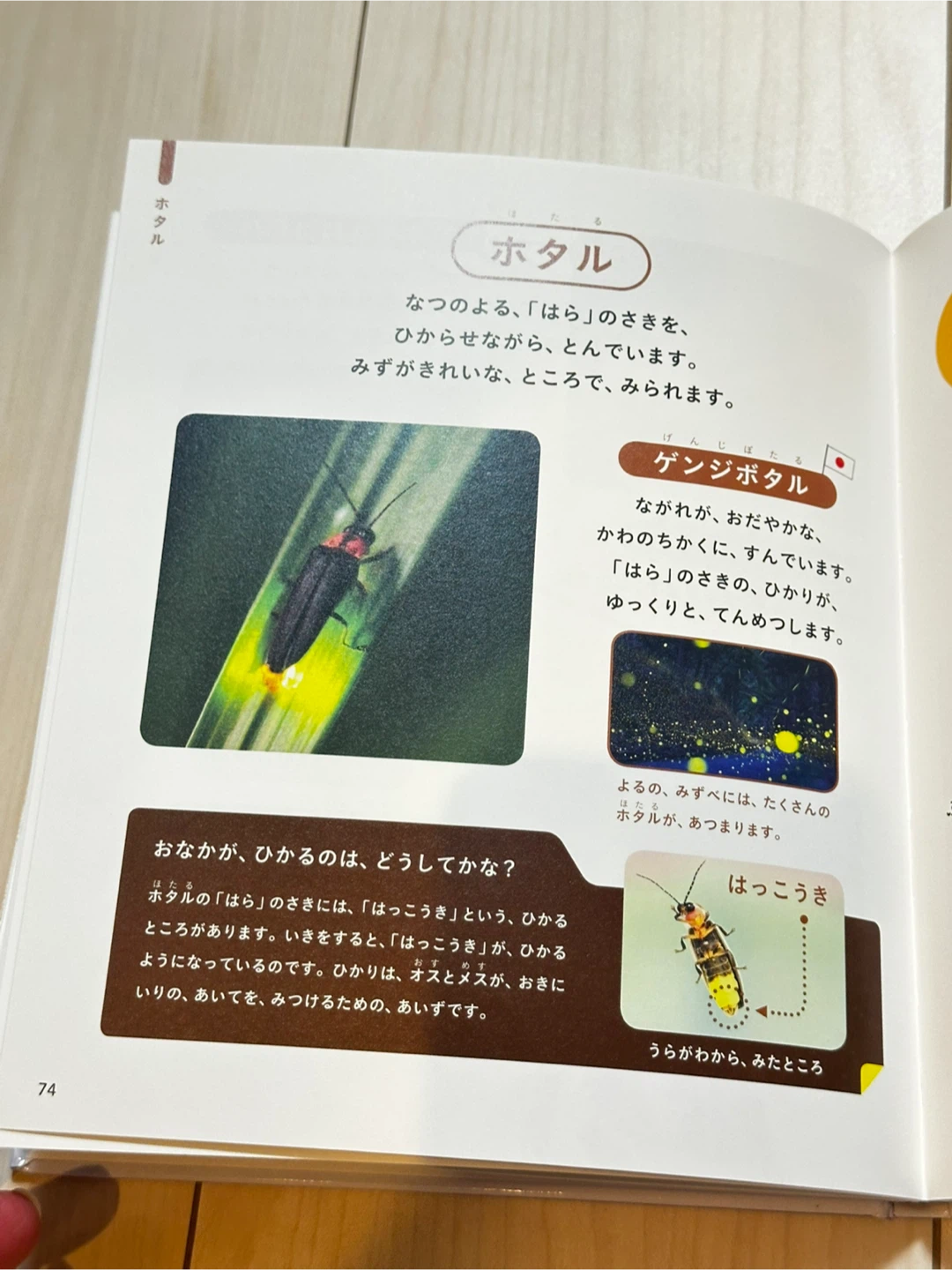 じぶんでよめる　こんちゅうずかんの写真3枚目