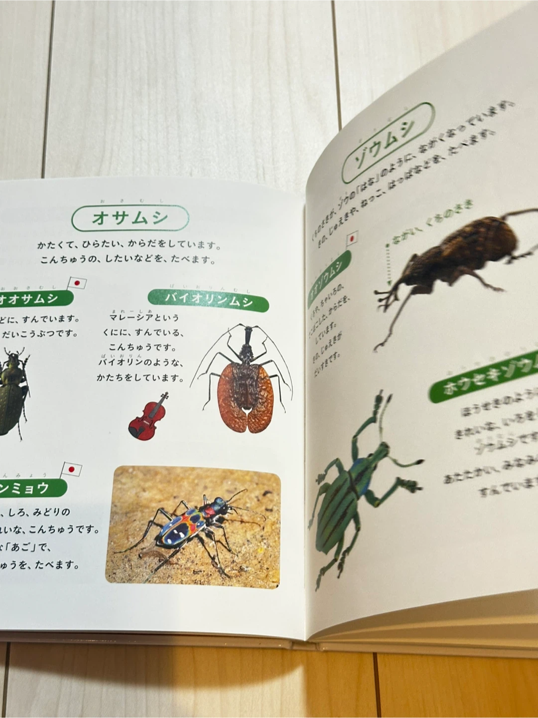 じぶんでよめる　こんちゅうずかんの写真4枚目