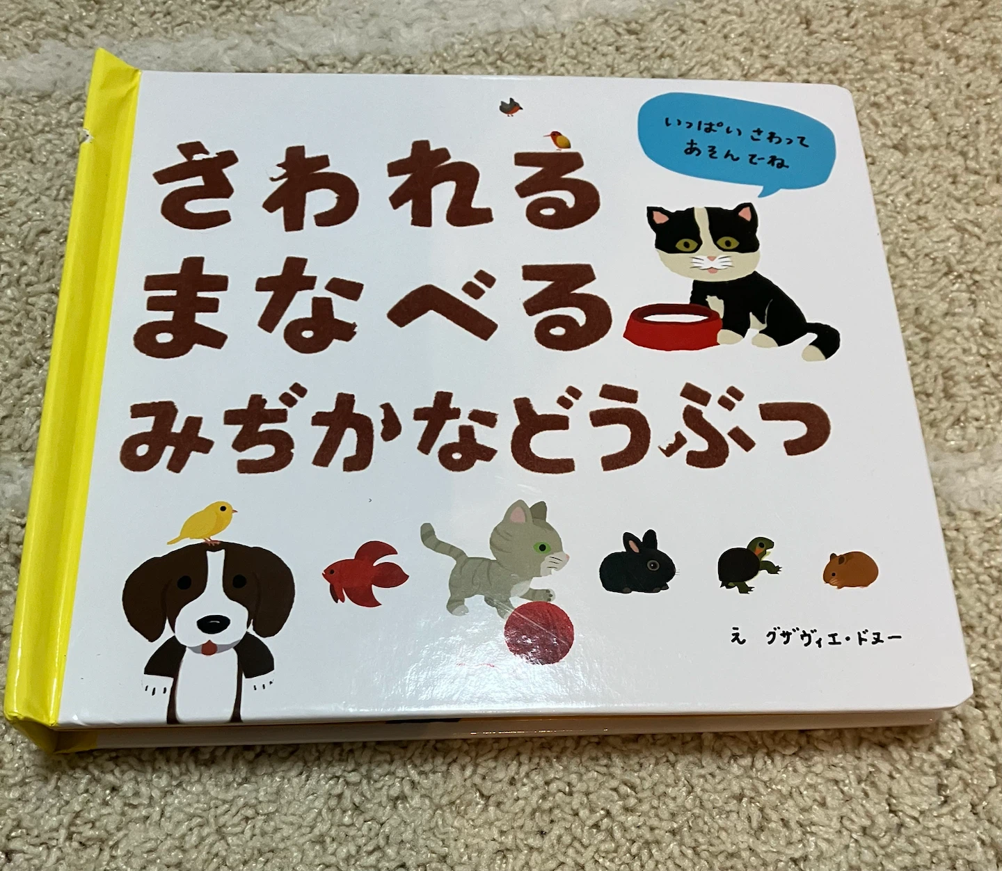 さわれるまなべるみぢかなどうぶつ