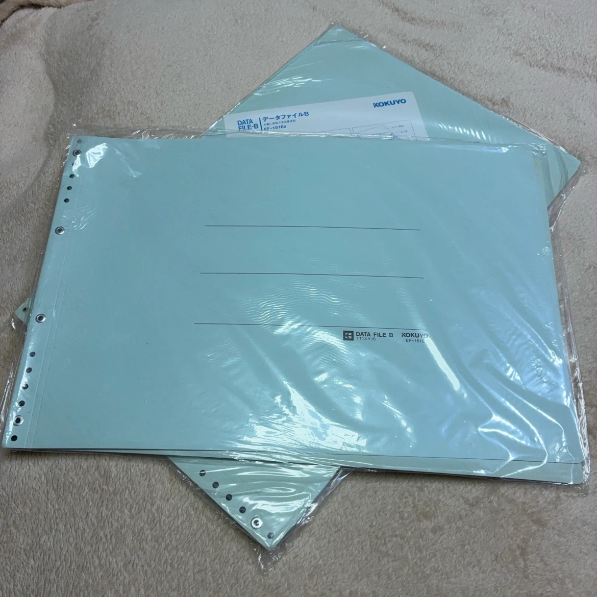 コクヨ データファイルB EF-151EB2枚の写真3枚目