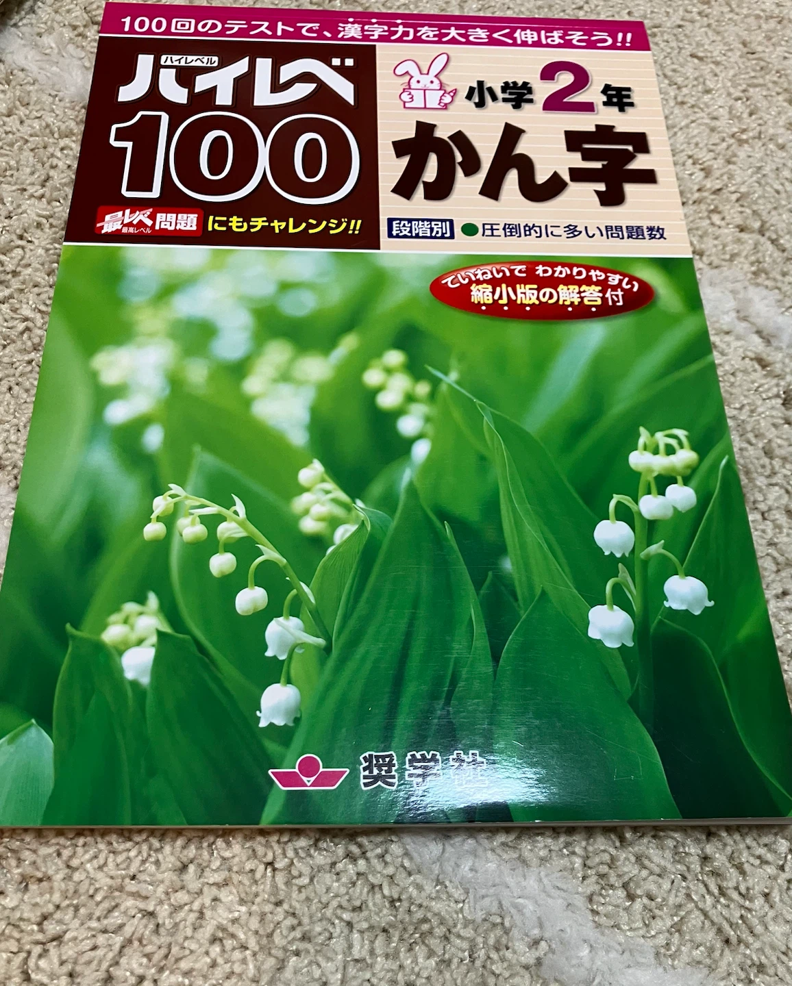 奨学社 ハイレベル100 かん字 小学2年