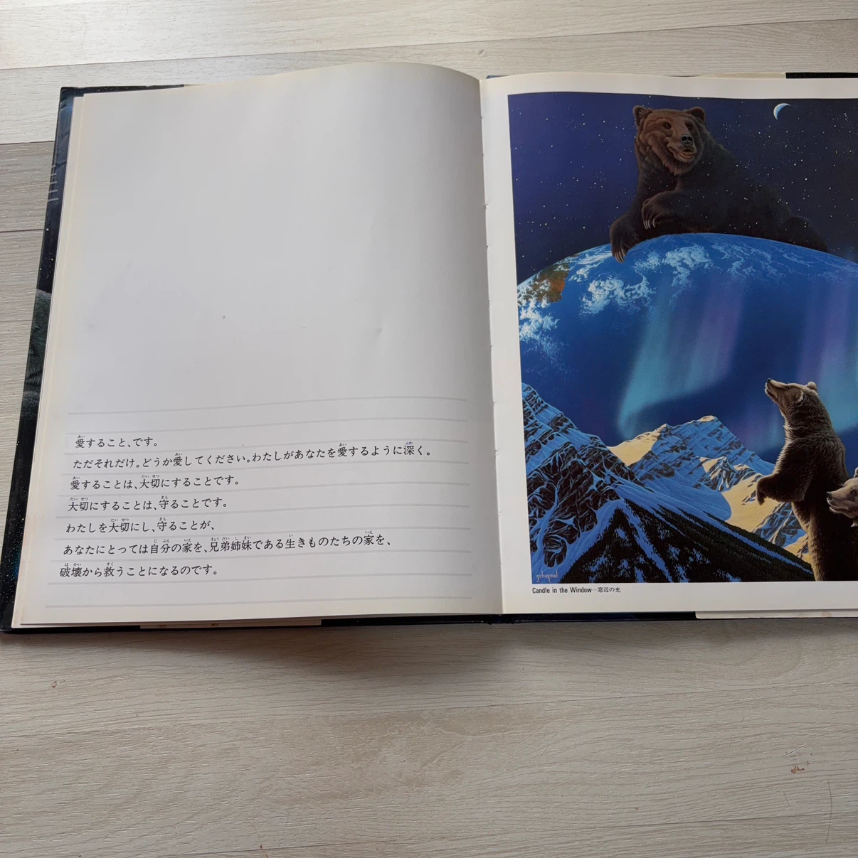 地球のこどもたちへ シム・シメール 絵本の写真4枚目