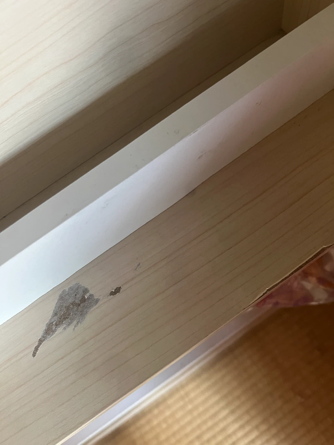 キッズ用 絵本棚 おもちゃ収納ラックの写真2枚目