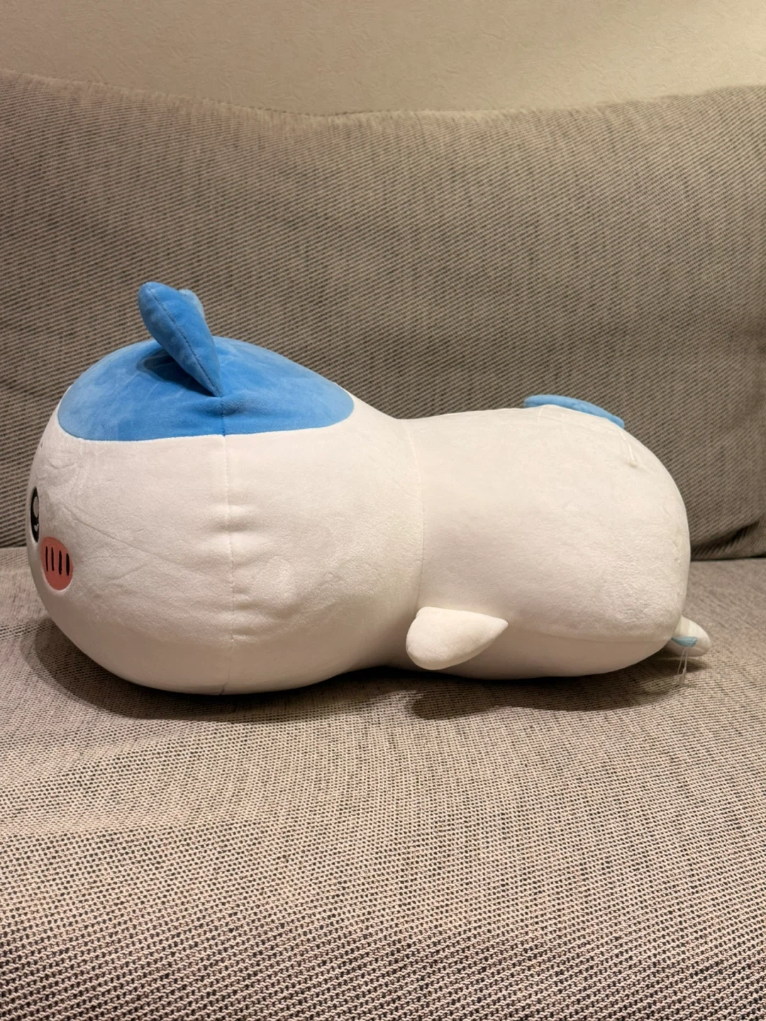 ハチワレ　もちっとふわっとぬいぐるみの写真5枚目
