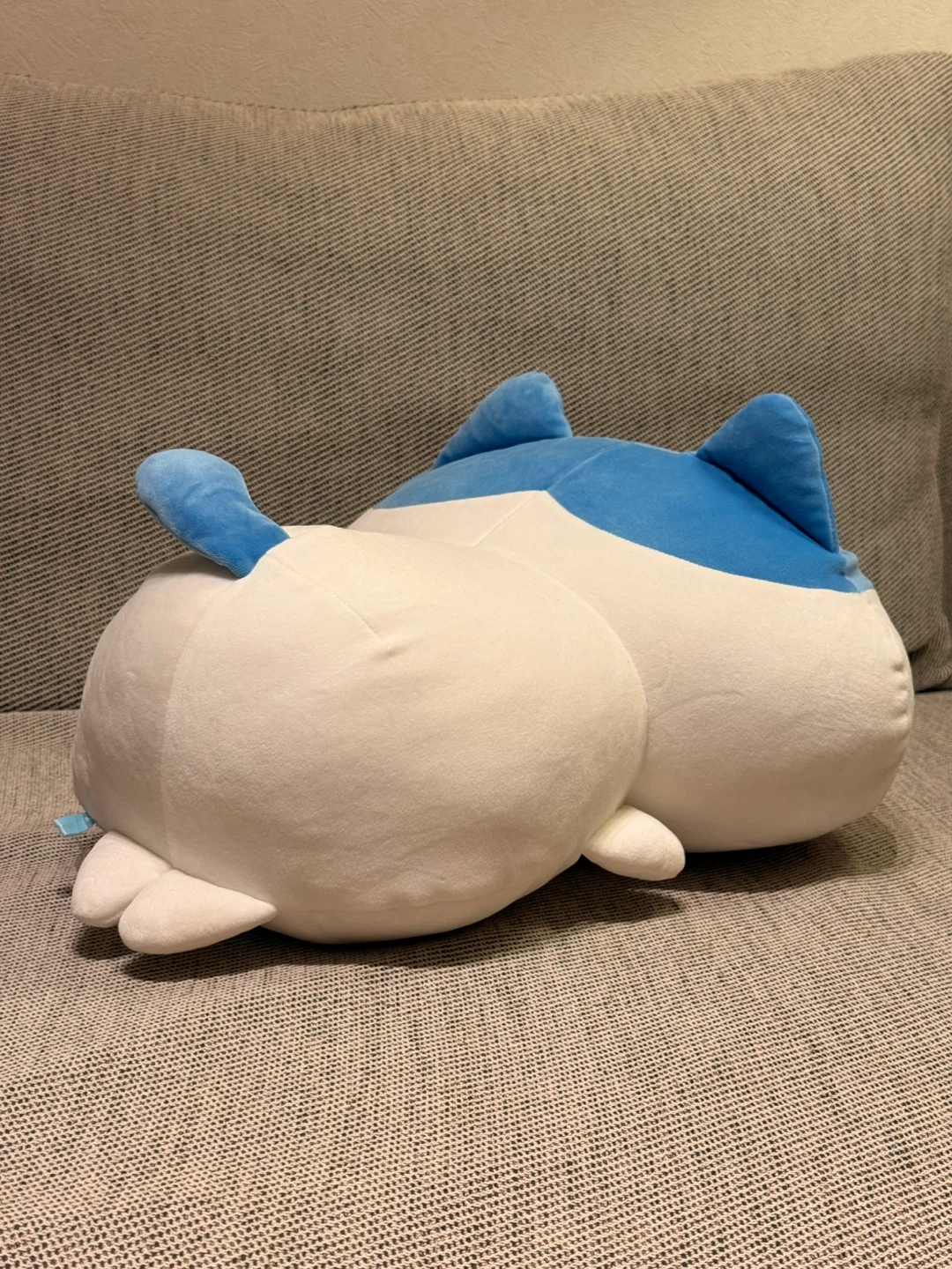 ハチワレ　もちっとふわっとぬいぐるみの写真2枚目