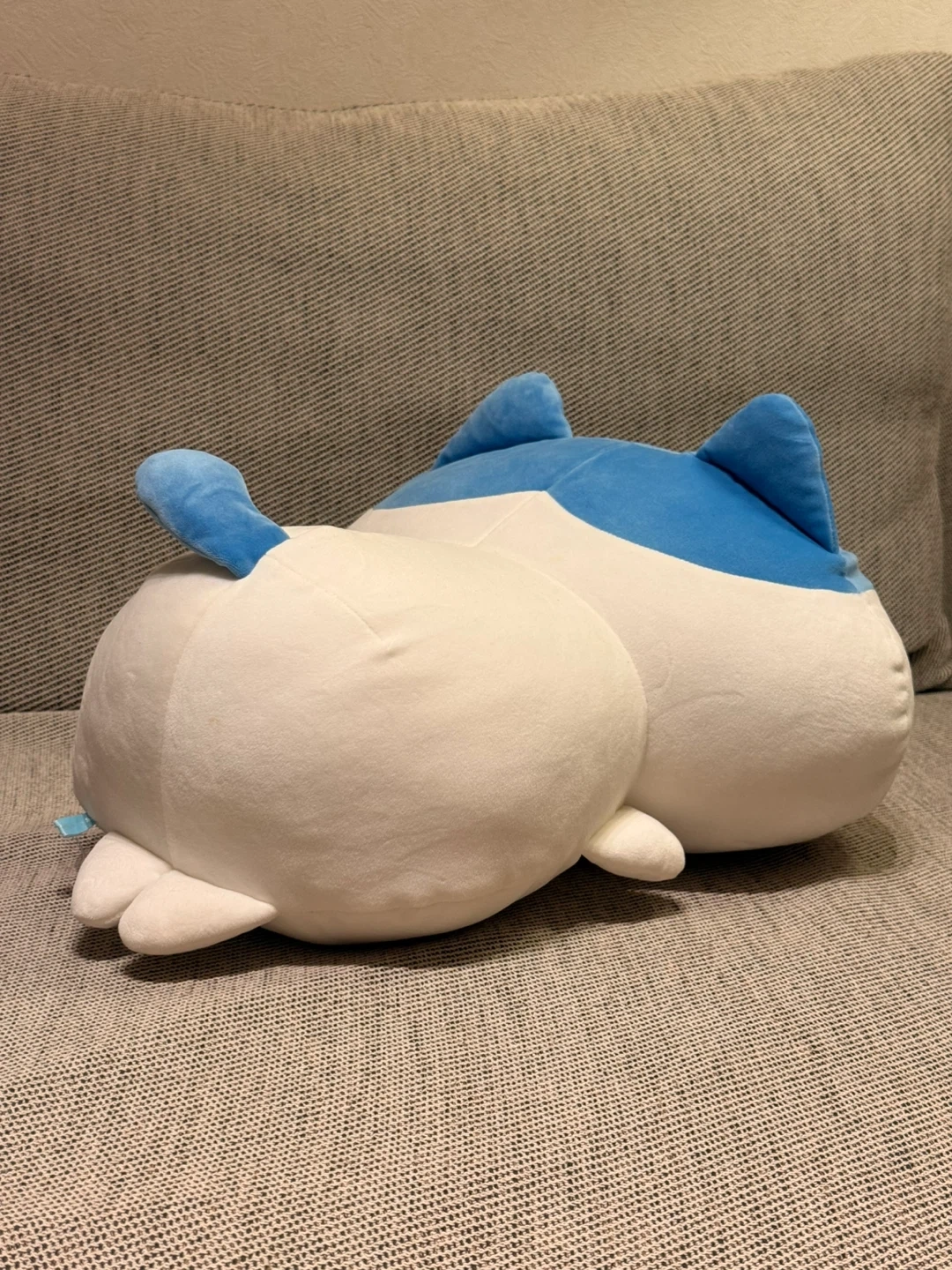 ハチワレ もちっとふわっとぬいぐるみの写真2枚目